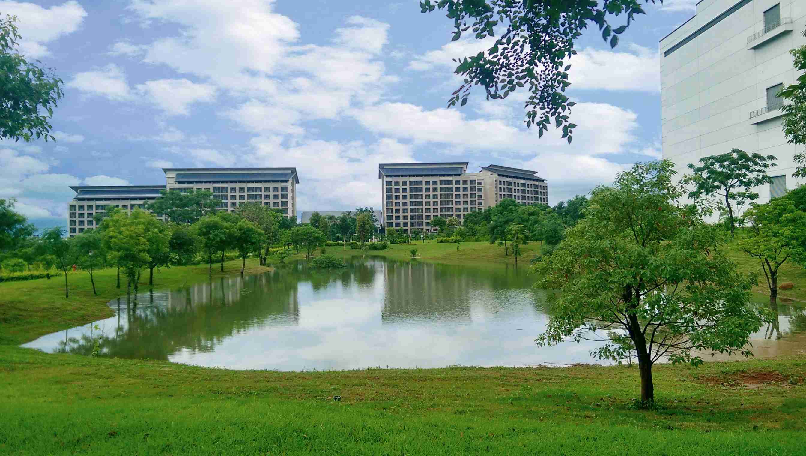 PG国际响应国际倡议生物多样性趋势，，首次发布TNFD自然相关财务揭露报告书，，，，擘划及开展PG国际生物多样性政策之承诺，，，逐步迈向与自然和谐共生