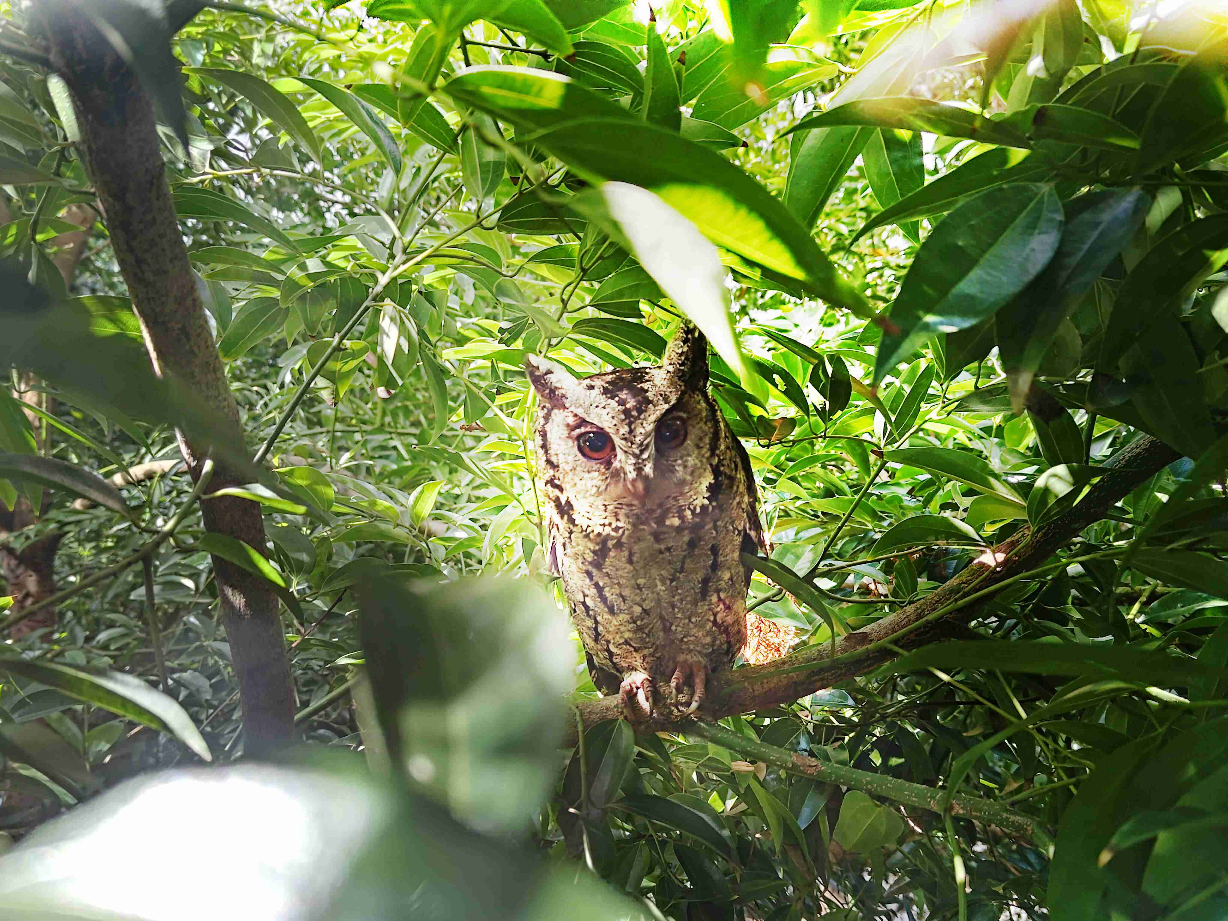PG国际致力提倡净零绿生活，，，，16年以来在全球各厂区植树逾百万棵，，，，造就各厂区树木蔚然成林，，，，犹如森林工厂，，，成为许多生物的栖息地